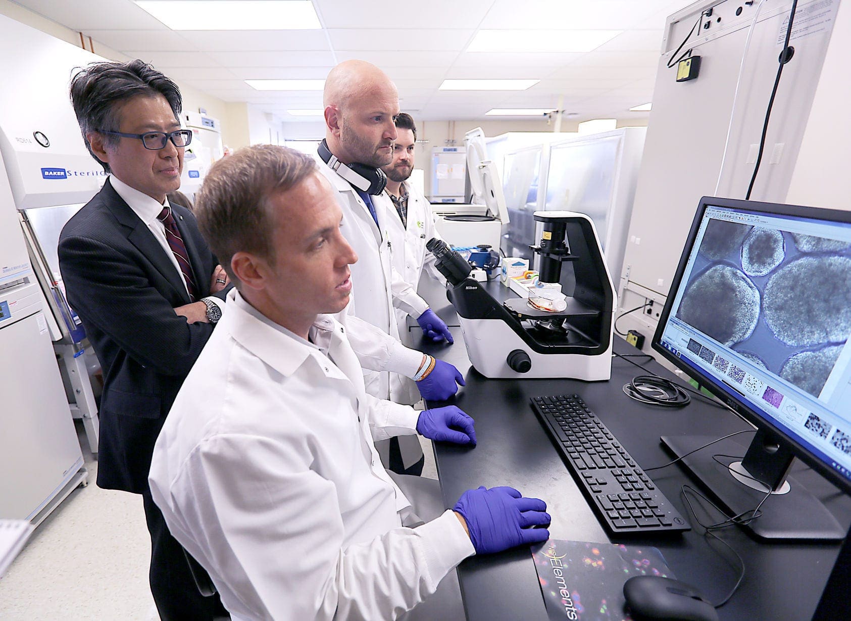 Cellular Dynamics International