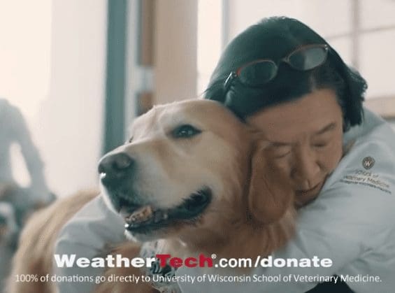 ‘Lucky Dog’ Scout