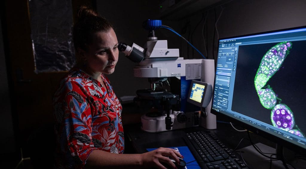 Ana Caroline Paiva Gandara