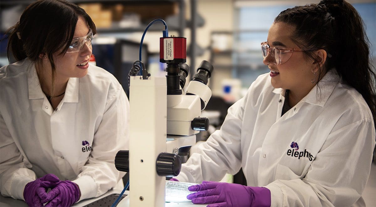 Elephas Biosciences researchers