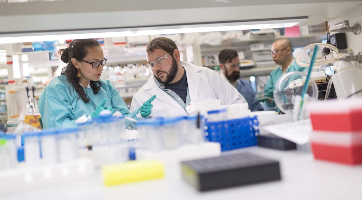 Scientists in the Thomson Lab work to develop arterial grafts derived from pluripotent stem cells. Pictured in the foreground: Marcela Tabima (L) and John Maufort (R). Pictured in background: Matt Brown (L) and Jue Zhang (R). Credit: David Nevala Photography