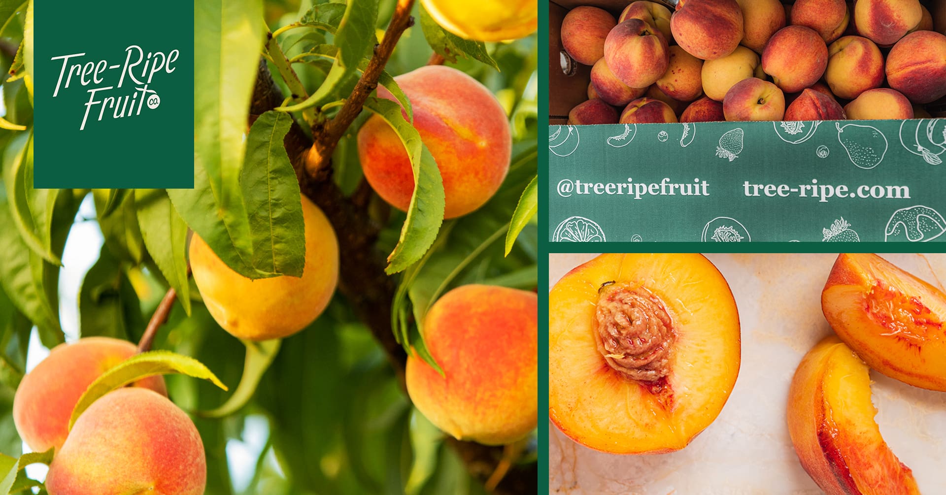 Tree-Ripe Fruit Co. Fruit Stops graphic