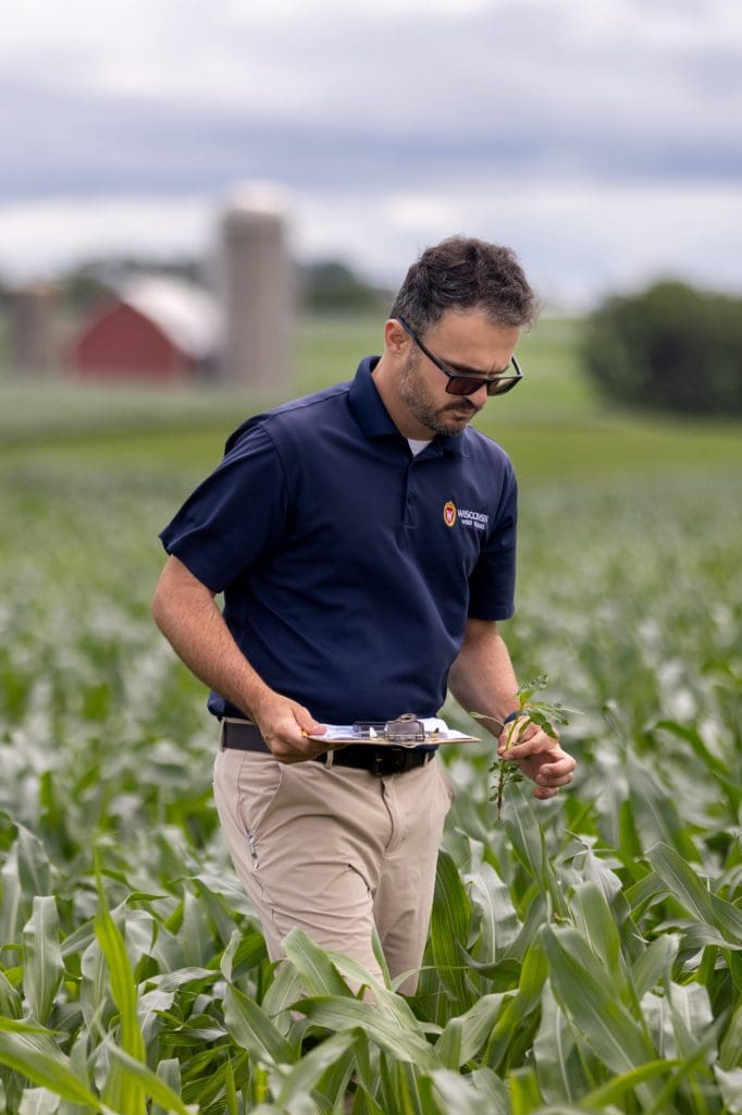 Rodrigo Werle, professor of plant and agroecosystem sciences, plucks a weed from a research field while scouting at Lancaster Agricultural Research Station. Werle’s research is investigating new weed management practices for herbicide-resistant waterhemp.
